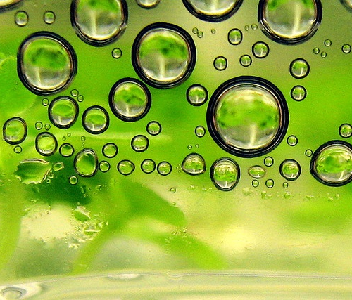 FAQ: Технологии производства биотоплива