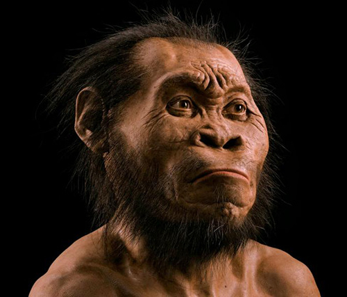 Homo naledi — звездный человек
