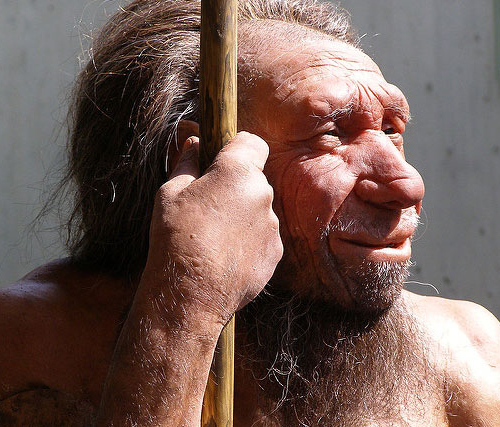 Что мы прочитали в геноме неандертальца