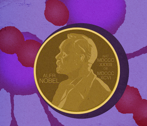 Нобелевская премия по физиологии или медицине — 2018: иммунные ингибиторы