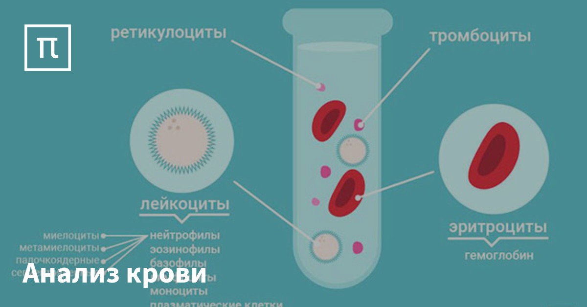 Анализ крови понижен гемоглобин эритроциты thumbnail