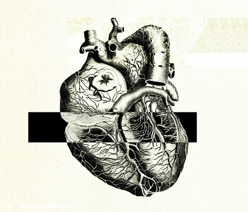 FAQ: Превентивная кардиология
