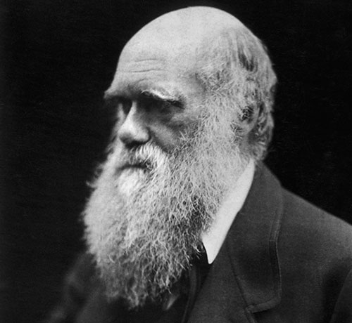 Фотография Чарльза Дарвина. 1868 / wikipedia.org